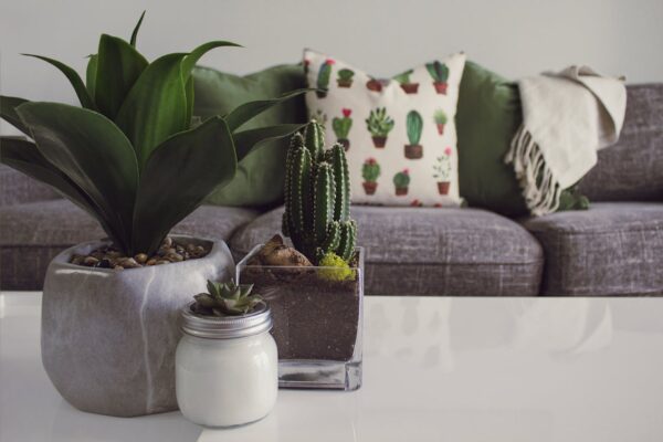 Trendy Wandpanelen en Behang voor Extra Karakter