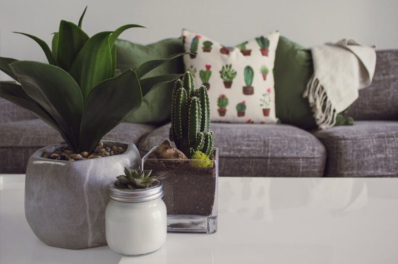 Trendy Wandpanelen en Behang voor Extra Karakter